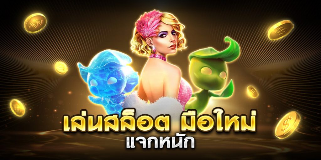เล่นสล็อต มือใหม่ แจกหนัก