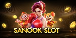 sanook slot