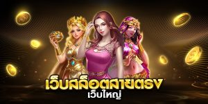 เว็บสล็อตสายตรง เว็บใหญ่