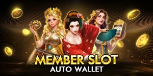 member slot auto wallet